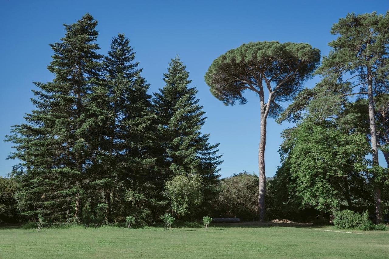 Château de Montcaud Sabran Exterior foto